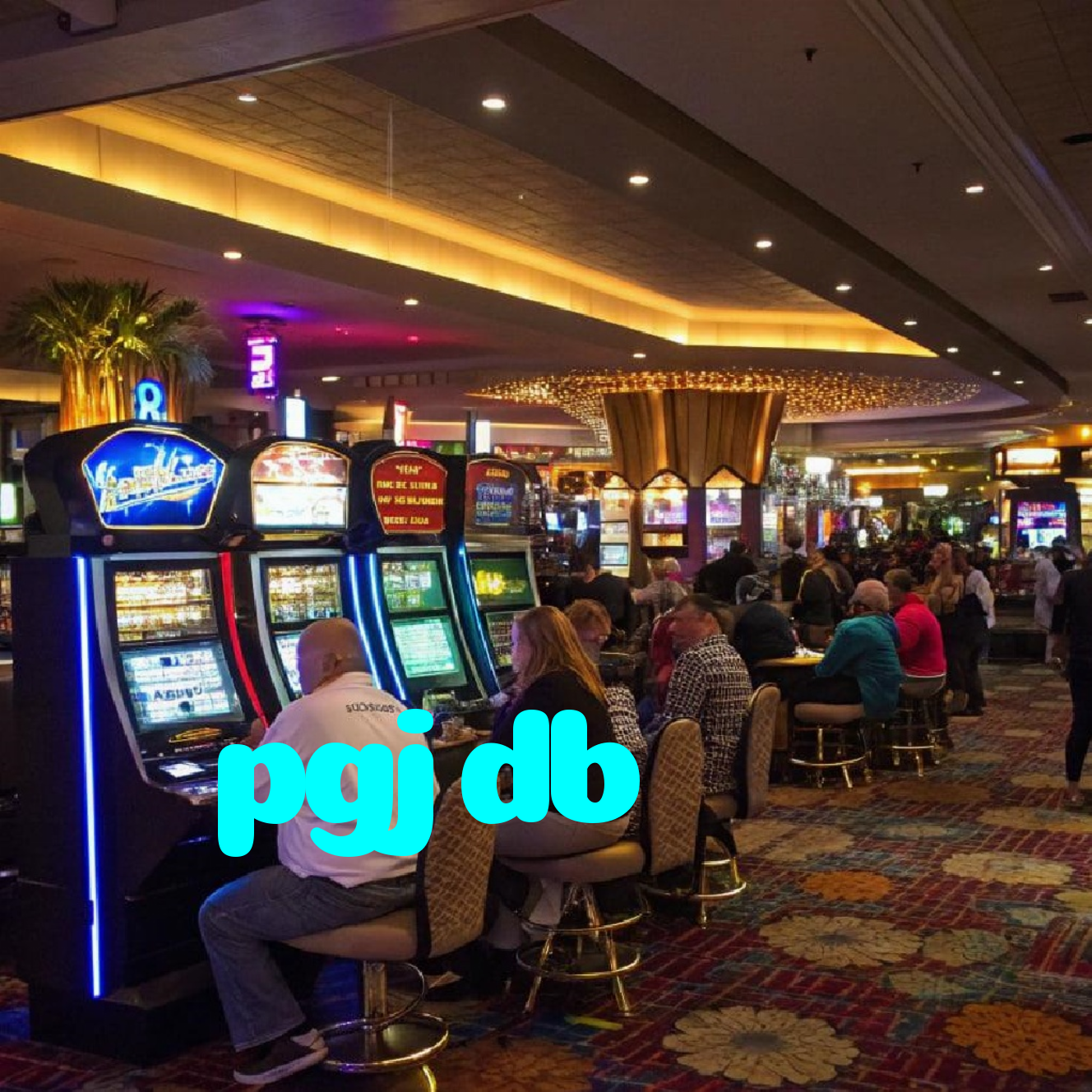 pgjdb