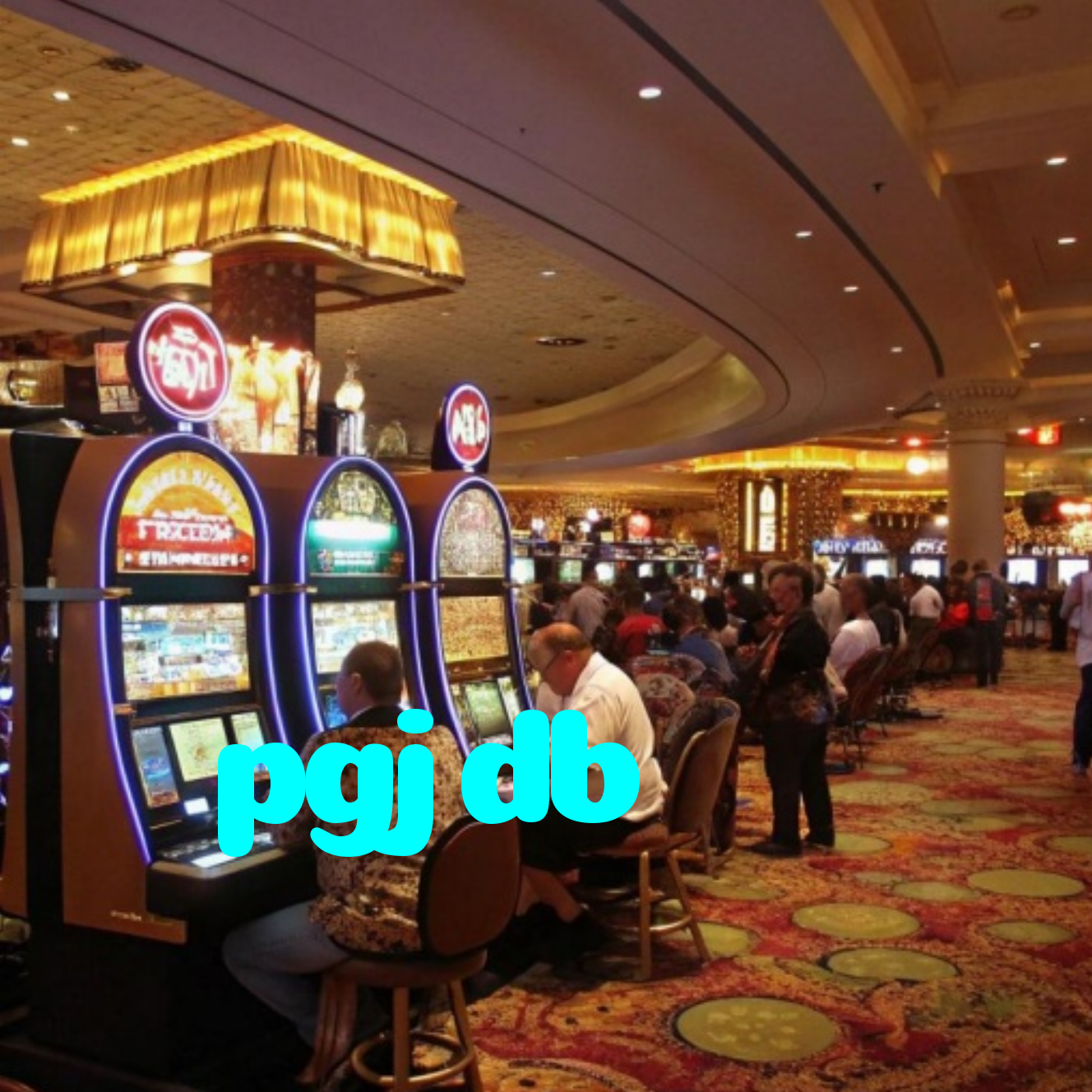 pgjdb