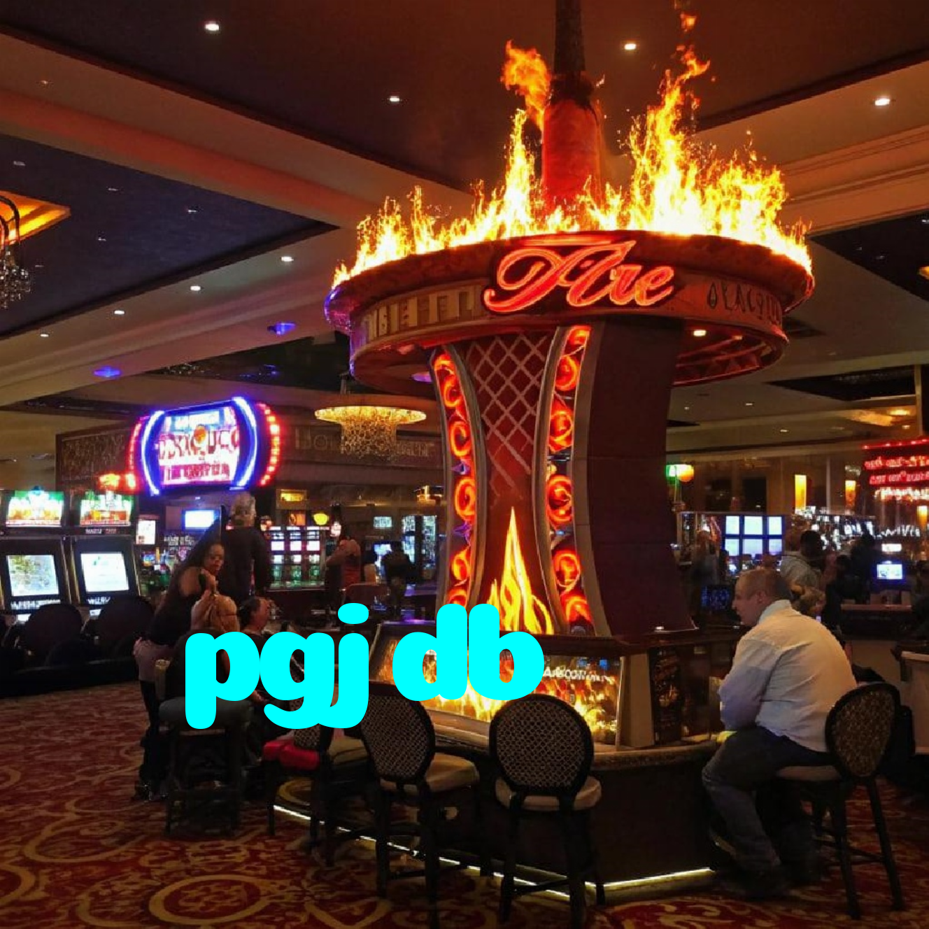 pgjdb