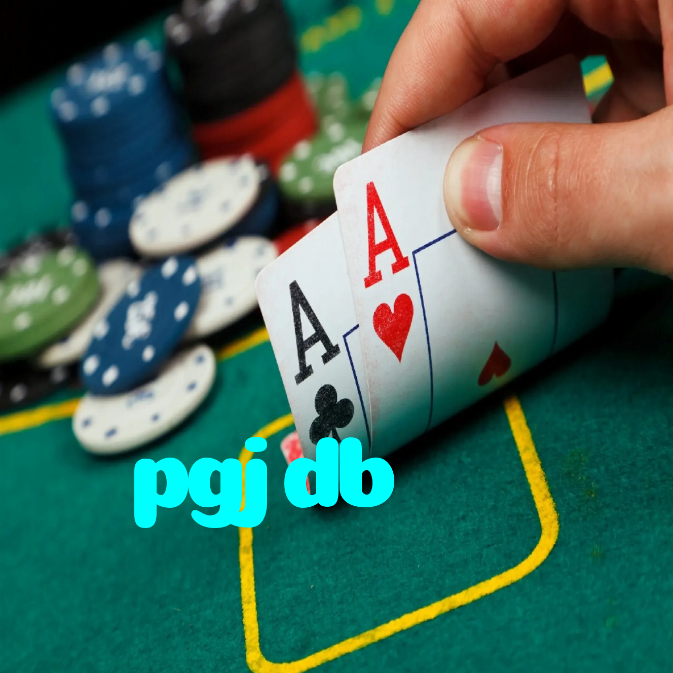 pgjdb