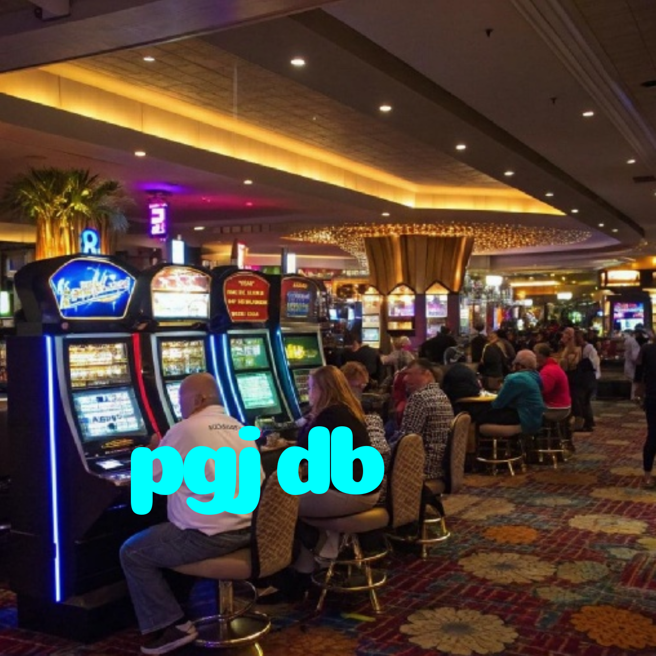 pgjdb